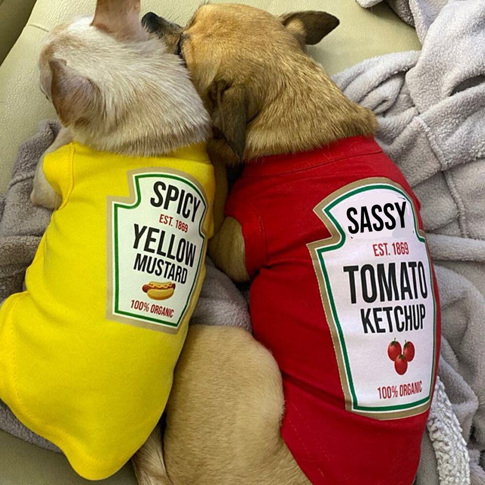 Condiment Halloween Costumes For Small and Big Dogs Cats SM to 6XL - Picture 3 of 8